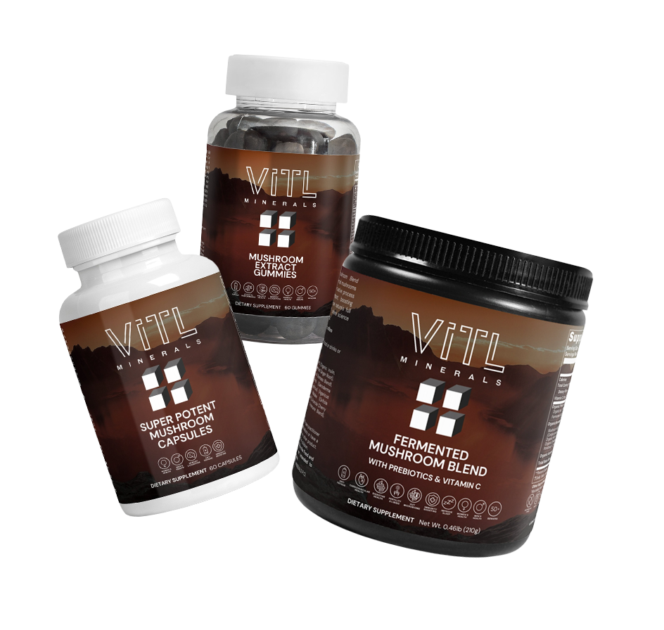 Best Mushroom Supplements | Vitl Minerals